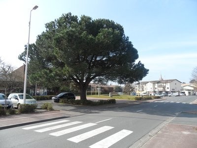 Location immobilier sur Cestas, louer à Cestas